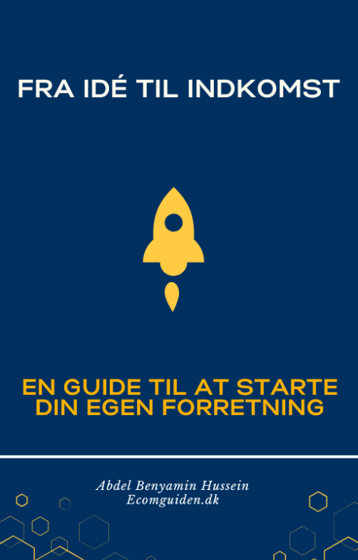 Fra idé til indkomst